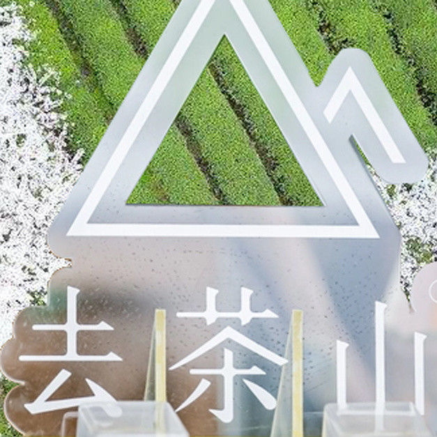 去贵阳去哪喝奶茶啊 去茶山