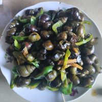 夏日特辑，来自田间的美味