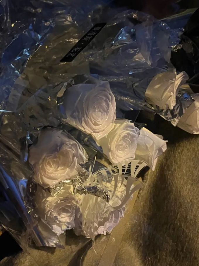 鲜花绿植