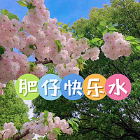 吃喝玩乐合集 篇六十二：夏日饮品日记13｜肥仔快乐水合集，可乐、雪碧、芬达、全都要