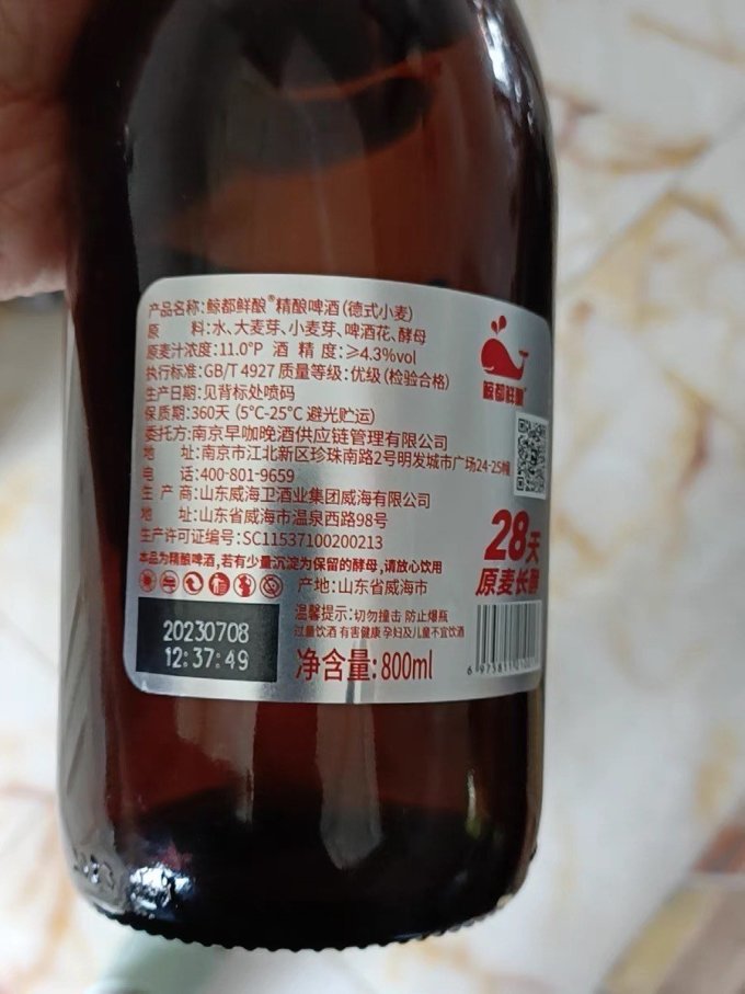 鲸啤酒