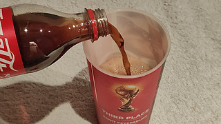 我和可口可乐的故事3:世界杯季军战的可乐杯