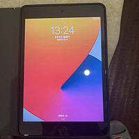 小黄鱼淘了一个iPad mini5