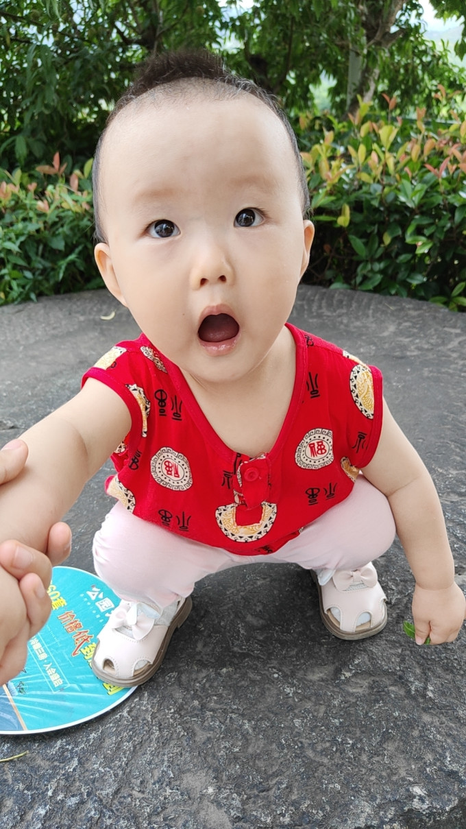 小鹿蓝蓝婴幼儿饼干