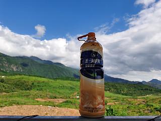 把阿萨姆带到大山里