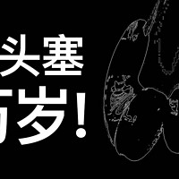 2022蹭听党万岁！ 篇六十七：HiFi碎碎念：平头塞万岁！聊聊近期入手的几条平头耳塞