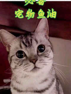 猫咪有必要吃鱼油吗？