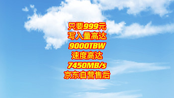 只要999元，写入量高达9000TBW，速度高达7450MB/s，质保五年，京东自营售后，赶紧上车呀。