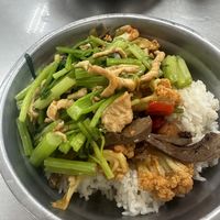 天天都吃青菜各有所爱