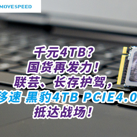 千元4TB？国货再发力！联芸、长存护驾，移速黑豹4TB PCIE4.0抵达战场！