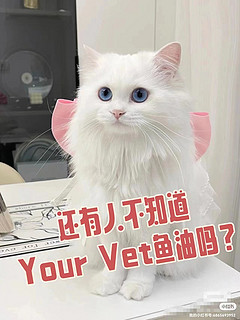 还有人不知道Your Vet鱼油嘛