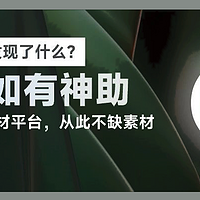 软件使用 篇一百三十九：PS新AI图形处理工具，PS 2024软件体验