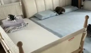 巴布豆婴儿床，让宝宝睡得更加香甜
