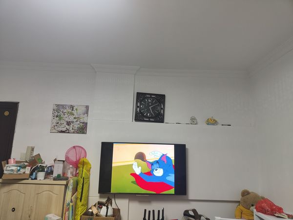 猫和老鼠