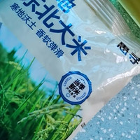 惠寻京东自有品牌东北珍珠米500g+花生浓香型植物调和油200ml 