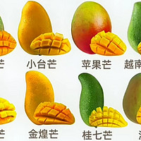 青芒、贵妃芒、小台芒和金煌芒这5种芒果要选哪种？