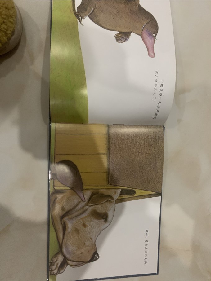 河北教育出版社绘本/图画书