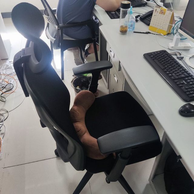STARSPACE人体工学椅办公室使用