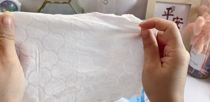 湿厕纸