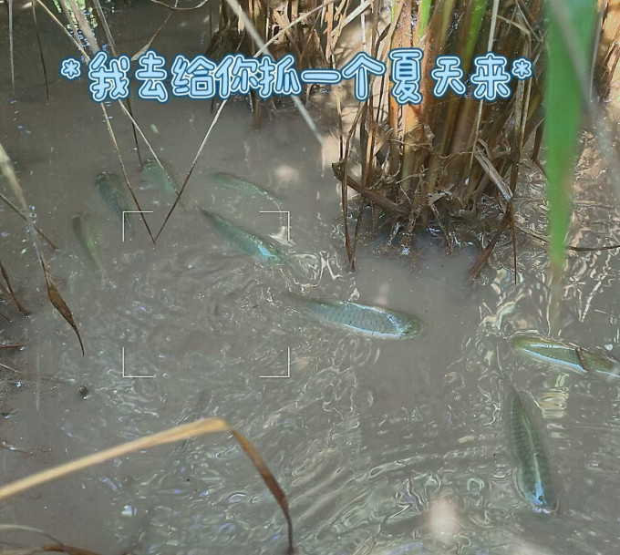 白酒