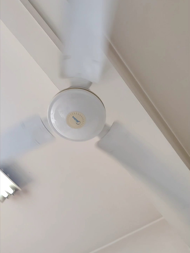 吊扇