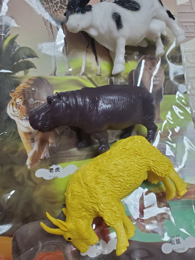 纽奇动物模型