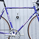 捷安特与世文自行车比较 | 哪一个更好？