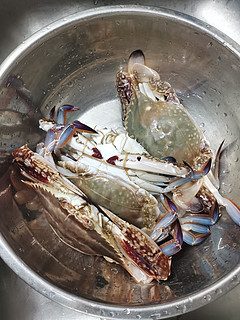 惊艳味蕾！梭子蟹带你领略海洋的鲜美！