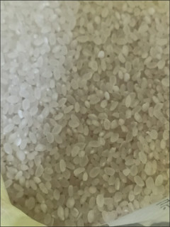 吃腻了长粒香，试试盘锦东北大米