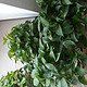浙江35岁太太，搬新家前在卫生间砌了个花坛，种满了绿植，太美了