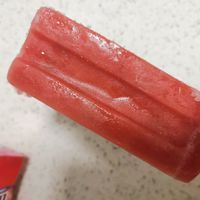 含有果肉的冰工厂