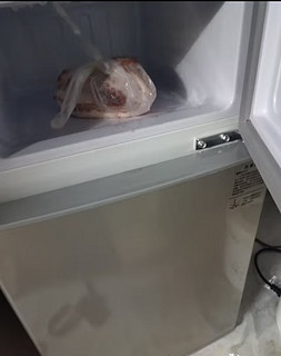 志高双开门小冰箱