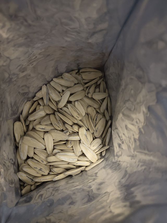 恰恰瓜子,好吃不贵