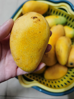 这种小芒果很香很好吃