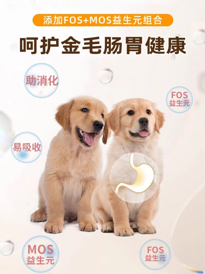 狗粮