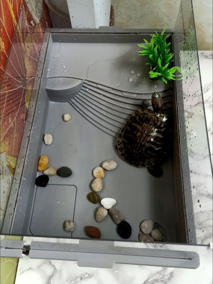 风宠直角鱼缸