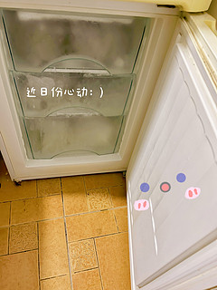 老式两开门冰箱维护保养指南