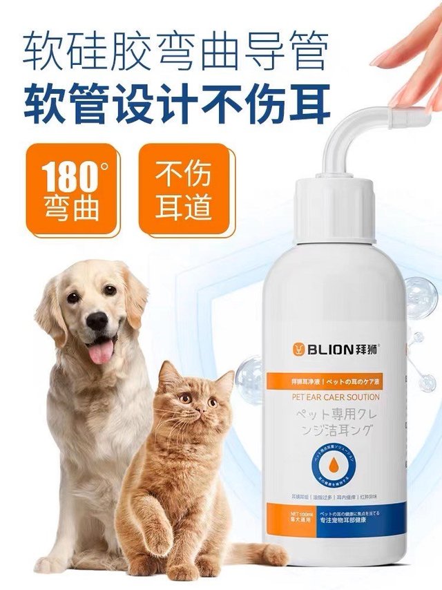 有了它，猫咪也更漂亮了。