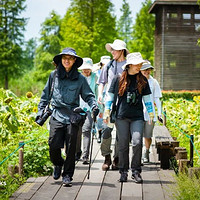 公民科学家｜揭秘水面下的植物“原住民”