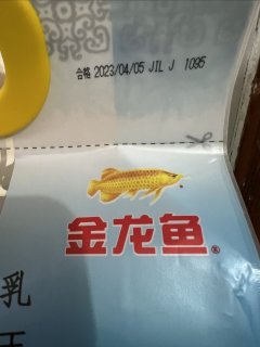 金龙鱼的乳玉皇妃蓝色款！