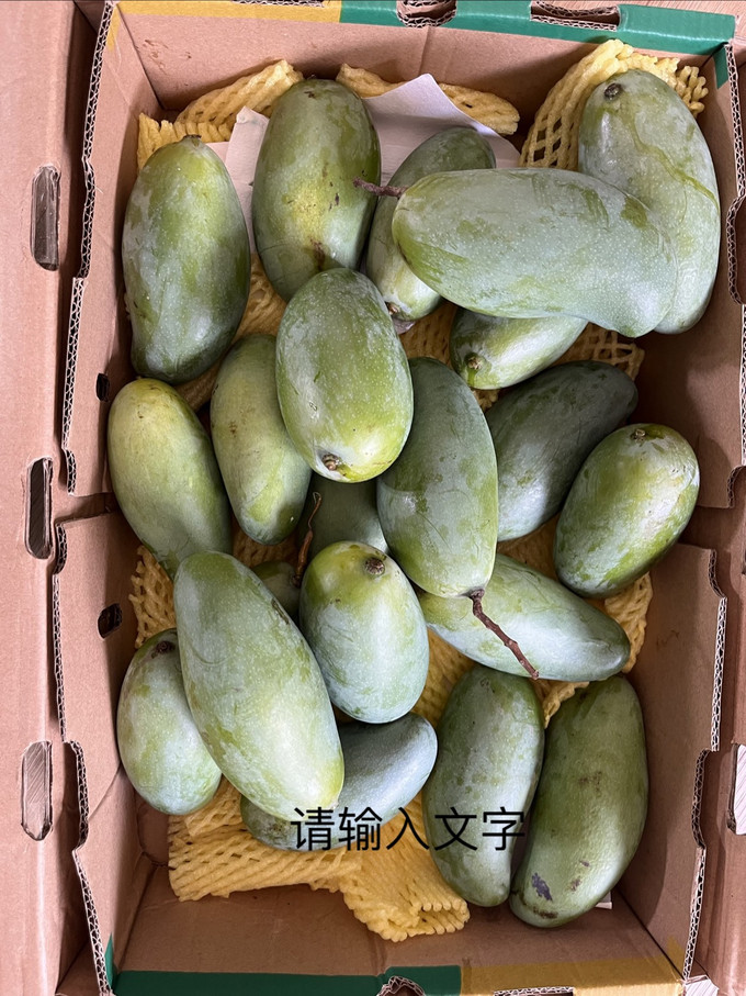 新鲜水果