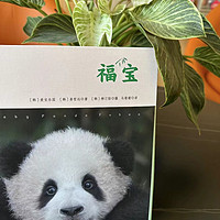 熊猫中的顶流，《福宝》写真集中文版来啦～