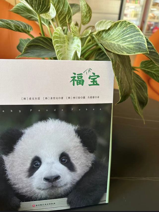 熊猫中的顶流，《福宝》写真集中文版来啦～