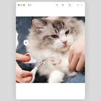 给主子树立剪指甲就是挠痒痒的印象🐱