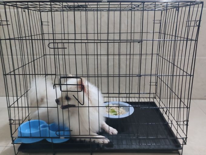 宠乐乖猫笼/猫别墅