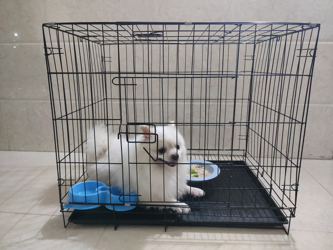 宠乐乖猫笼/猫别墅