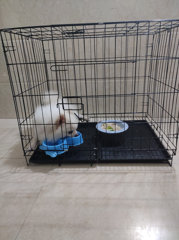 宠乐乖猫笼/猫别墅