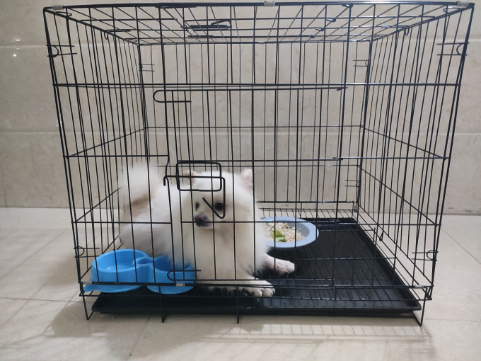 宠乐乖猫笼/猫别墅