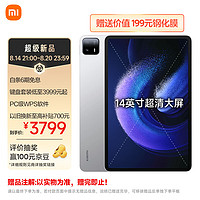 内行评测：大，就是好！Xiaomi Pad 6 Max 14上手体验_平板电脑_什么值得买