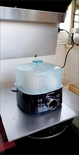 苏泊尔（SUPOR）煮蛋器 蒸蛋器 电蒸锅煮鸡
